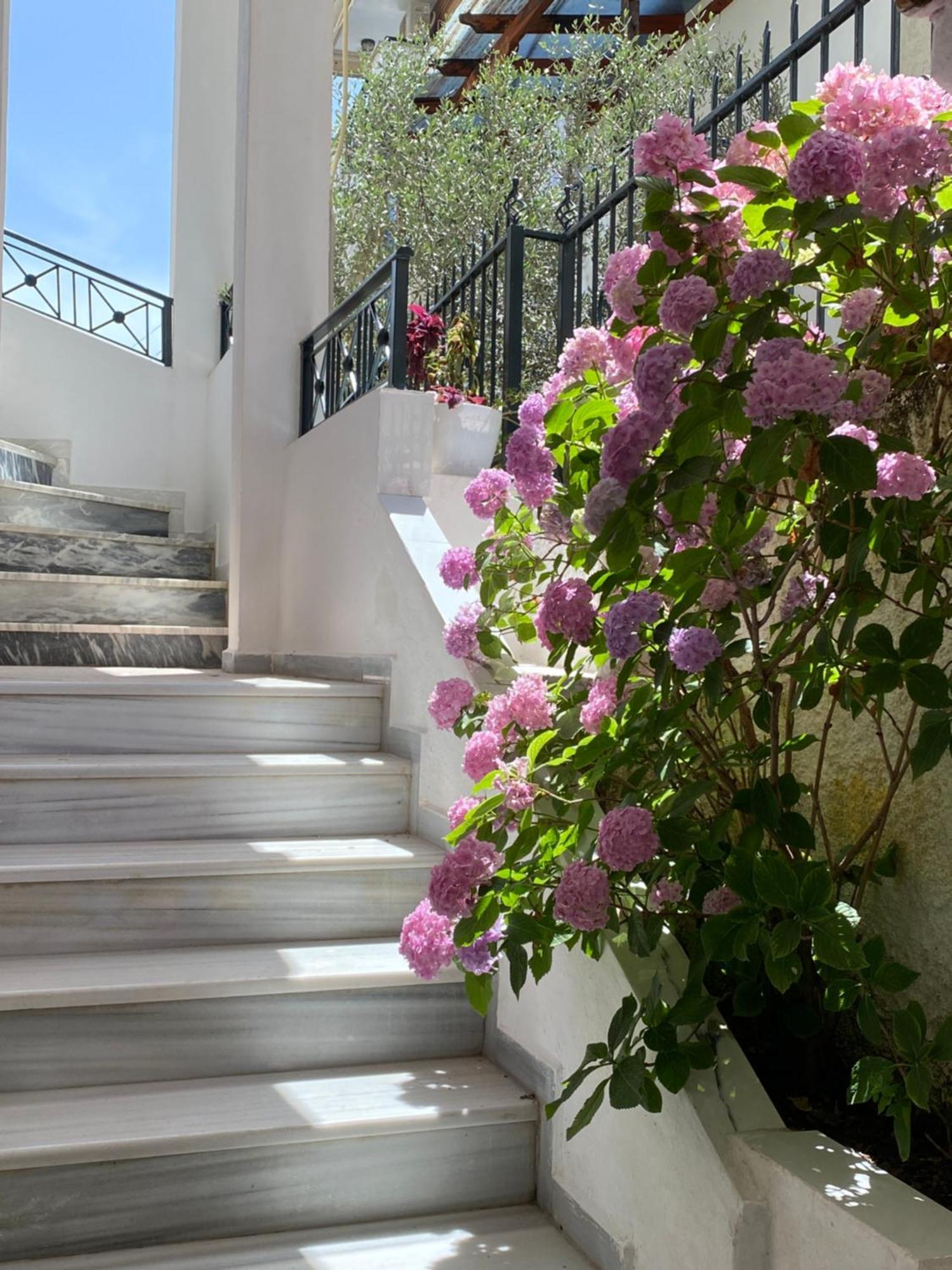 Vila Xhani Apartman Saranda Kültér fotó